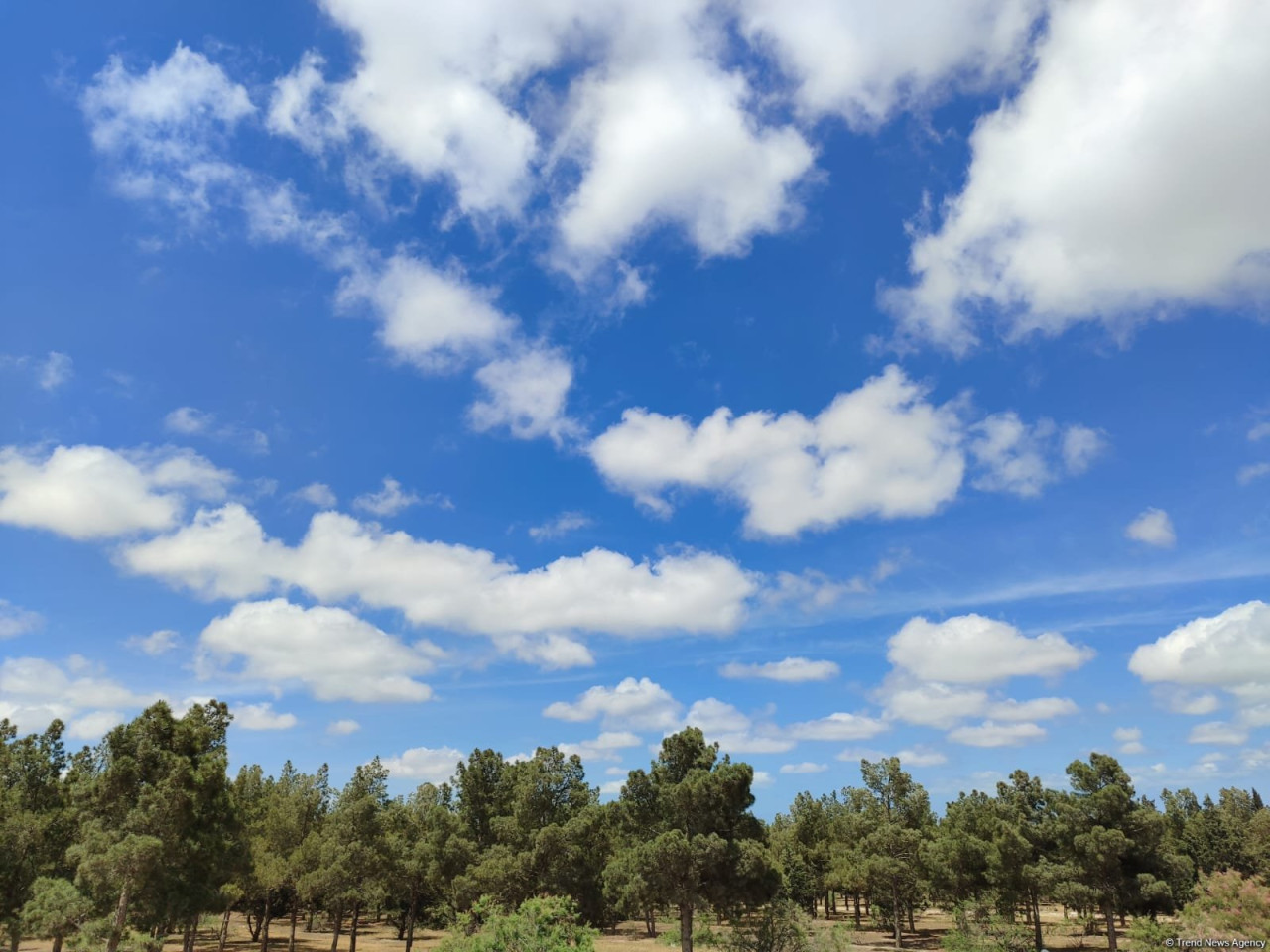 Hava ilə bağlı - Xəbərdarlıq