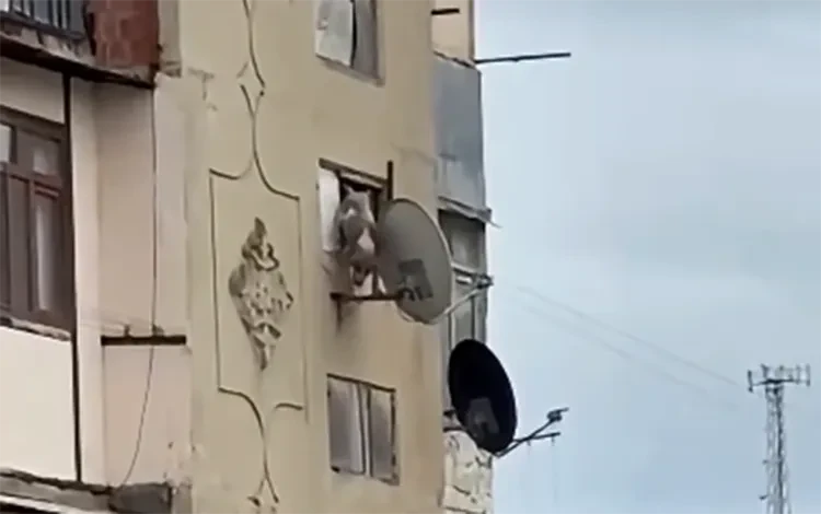 Bakıda iti pəncərədən atan şəxsə 25 sutka verildi
