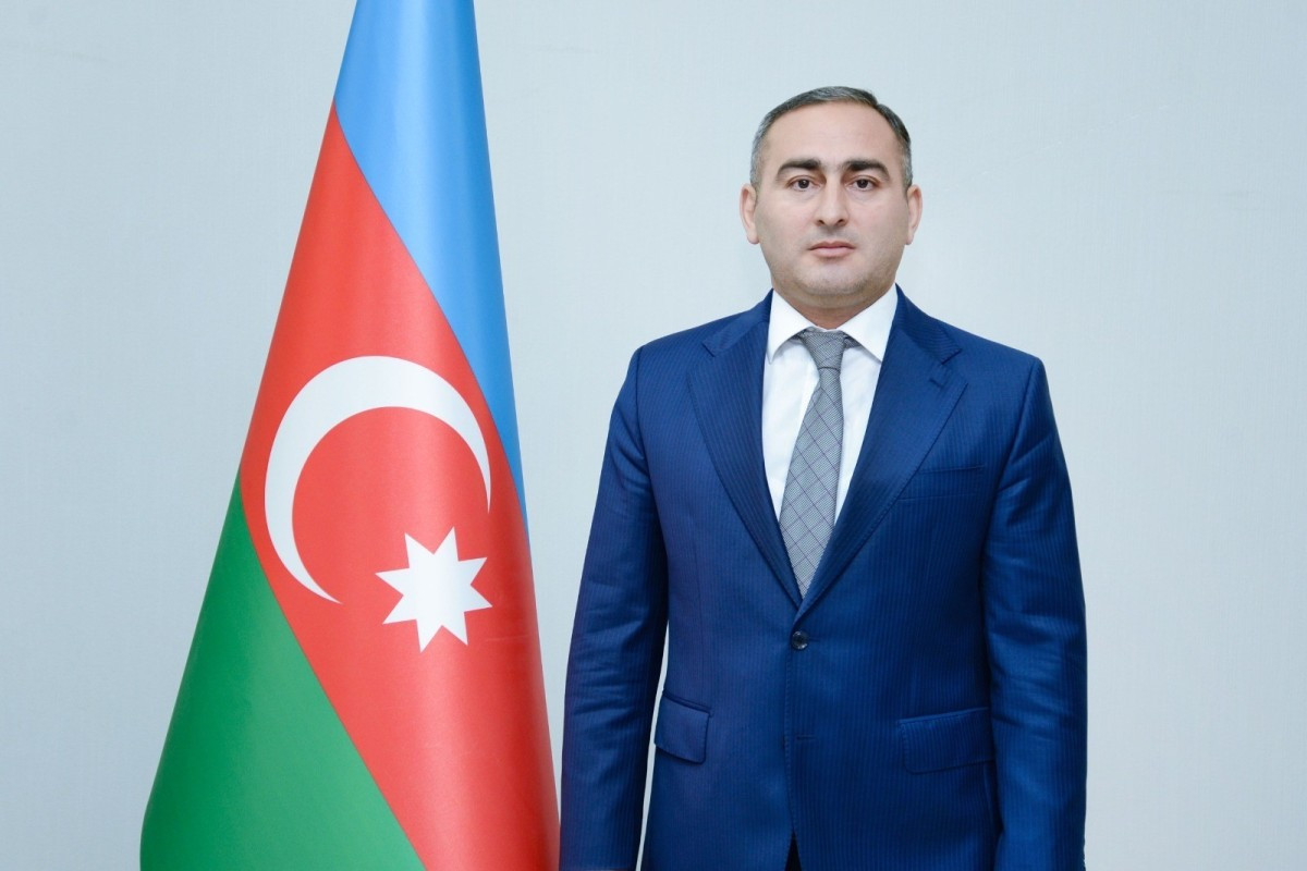 Dövlət Statistika Komitəsinə yeni sədr müavini təyin edildi