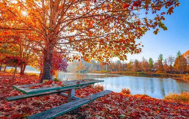 Ölkə ərazisinə isti hava kütlələri daxil olub - Temperatur yüksəlir&nbsp;