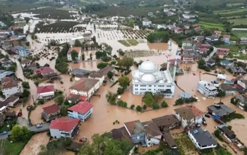 Sakarya su altında qaldı - Fotolar